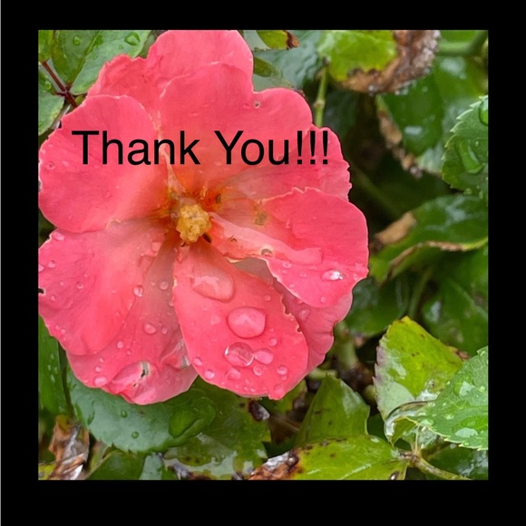 🎉🍂11/24 Co-Hosting my 37th Posh Party Best in Big, Tall & Plus!!!🎉🍂 - Picture 7 of 15